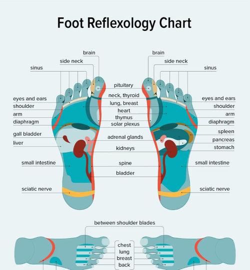 Everything is yours - reflexology